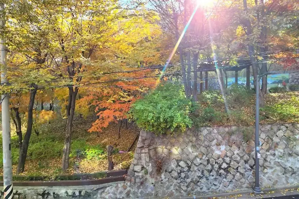סיאול K-14 Hongdae Park Forest 2Fl
